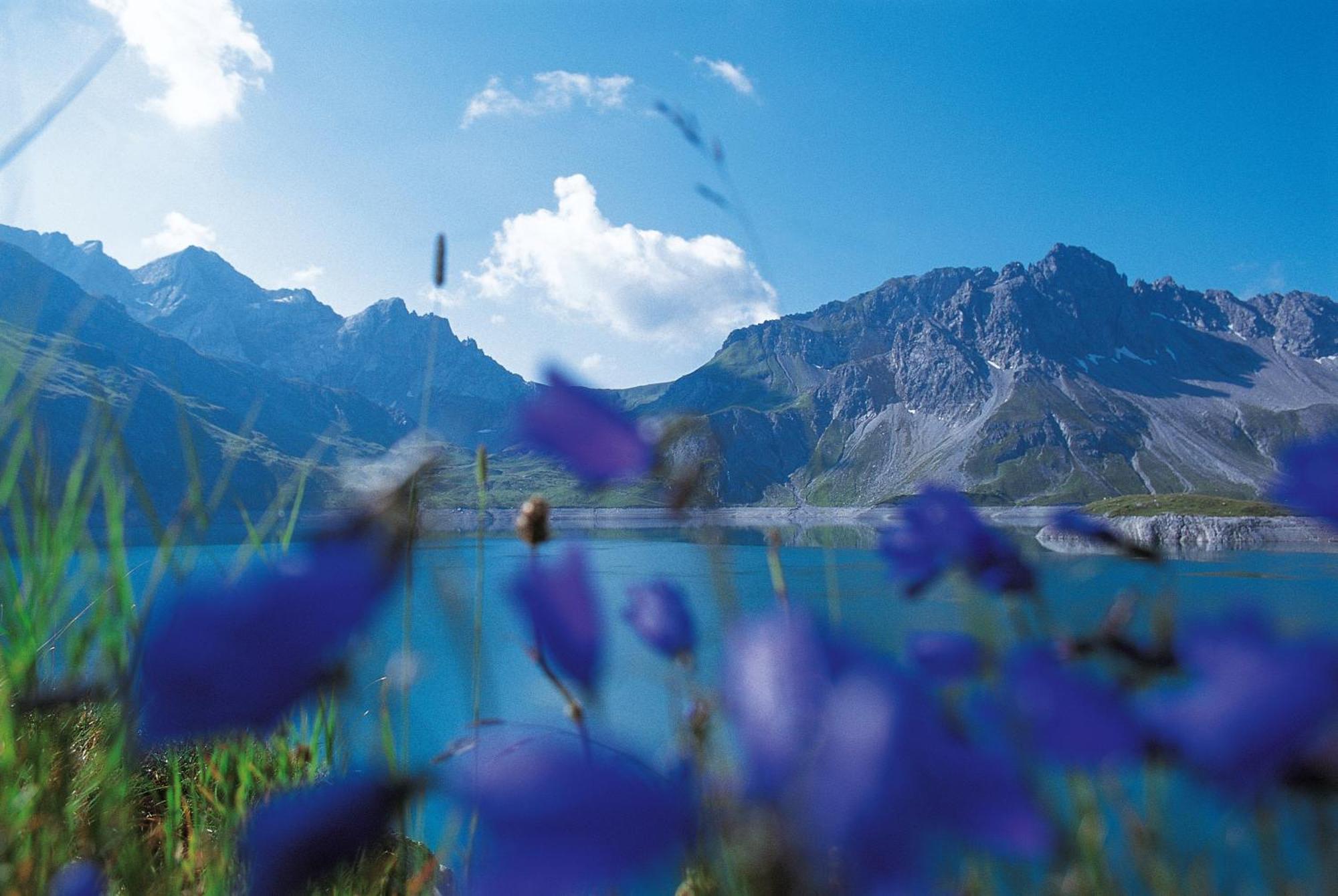 Apartmán Haus Edelweiss Brand  Exteriér fotografie